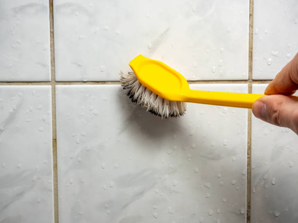 Best Best Mold Removal Companies  in Bluefield, WV